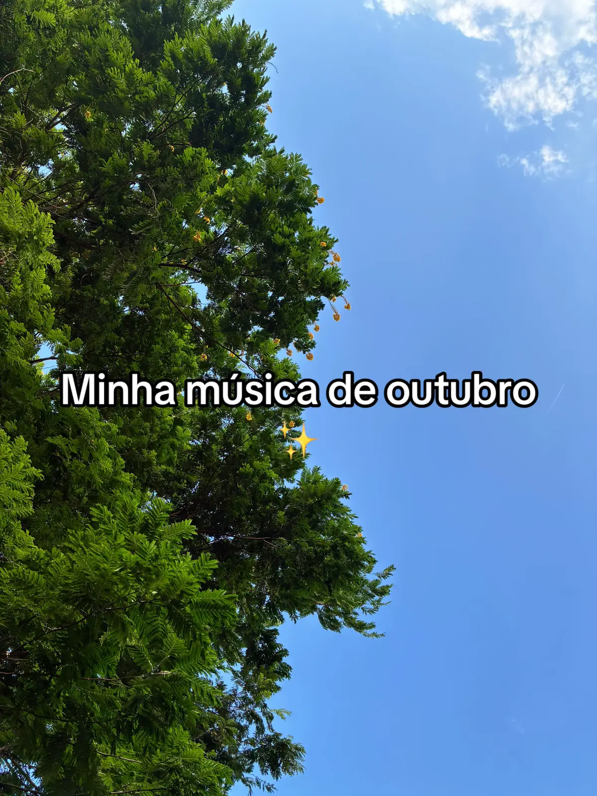 Minha música de outubro #creatorsearchinsight #tiktokviral #foryoupage #fy