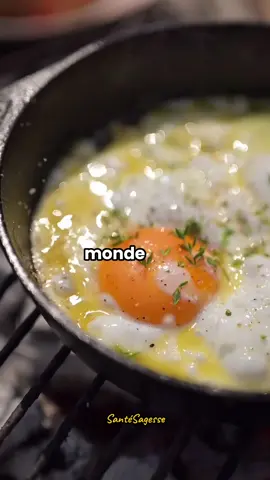 L’aliment le plus nutritif au monde n’est ni le bœuf, ni les œufs, et même pas le poulet. Il existe quelque chose d’encore plus puissant. Dans de nombreuses cultures, on l’appelle « l’arbre miracle ». #santé #santénaturelle #nourriture #nutrition #moringa 
