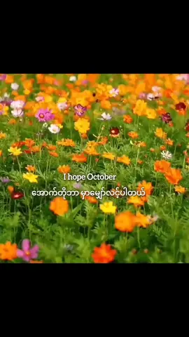 October လလေးကို Manifestation  နဲ့ပဲစလိုက်ကြရအောင်။.အေးချမ်းခြင်းတွေနဲ့ကံကောင်းခြင်းတွေသာရရှိတဲ့လလေးဖြစ်လာပါပြီ🧡 #manifestation #october #lavenderpan #ဆရာမလာဗန်ဒါပန် #myanmartiktok2025 