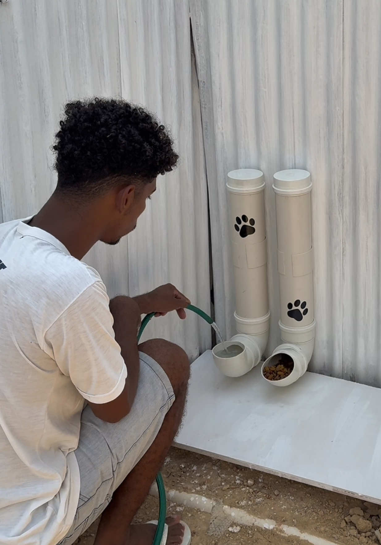 Ajudem os cãozinhos de rua 🐶🙏 #dog #cachorro #ajudeosanimais #criatividade #DIY