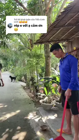 Trả lời @Tiểu Linh Linh 🥰🥰🥰 tui hỏi cô... #ngoctuyenoi #vochongmientay #vaidiencuatoi #cailuong #traanthaoplus 