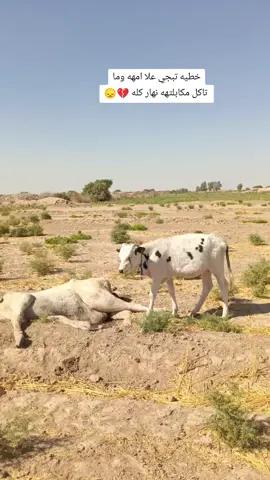 #الحزن💔عنواني💔ــہہہــــــــــہہـ👈⚰️ 