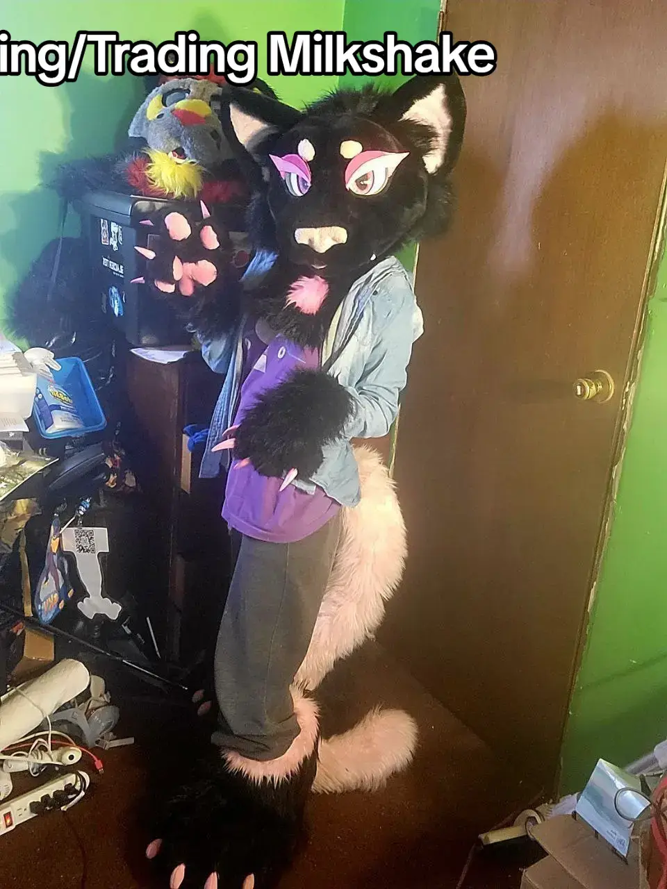 Black cat fursuit full partial  