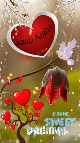 #goodnighteveryone #💫♥️🕊 
