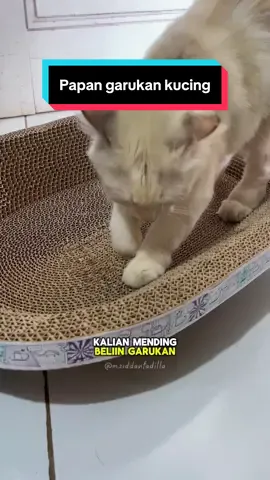Papan garuk kucing dan anjing #papangarukkucing #garukankucing 