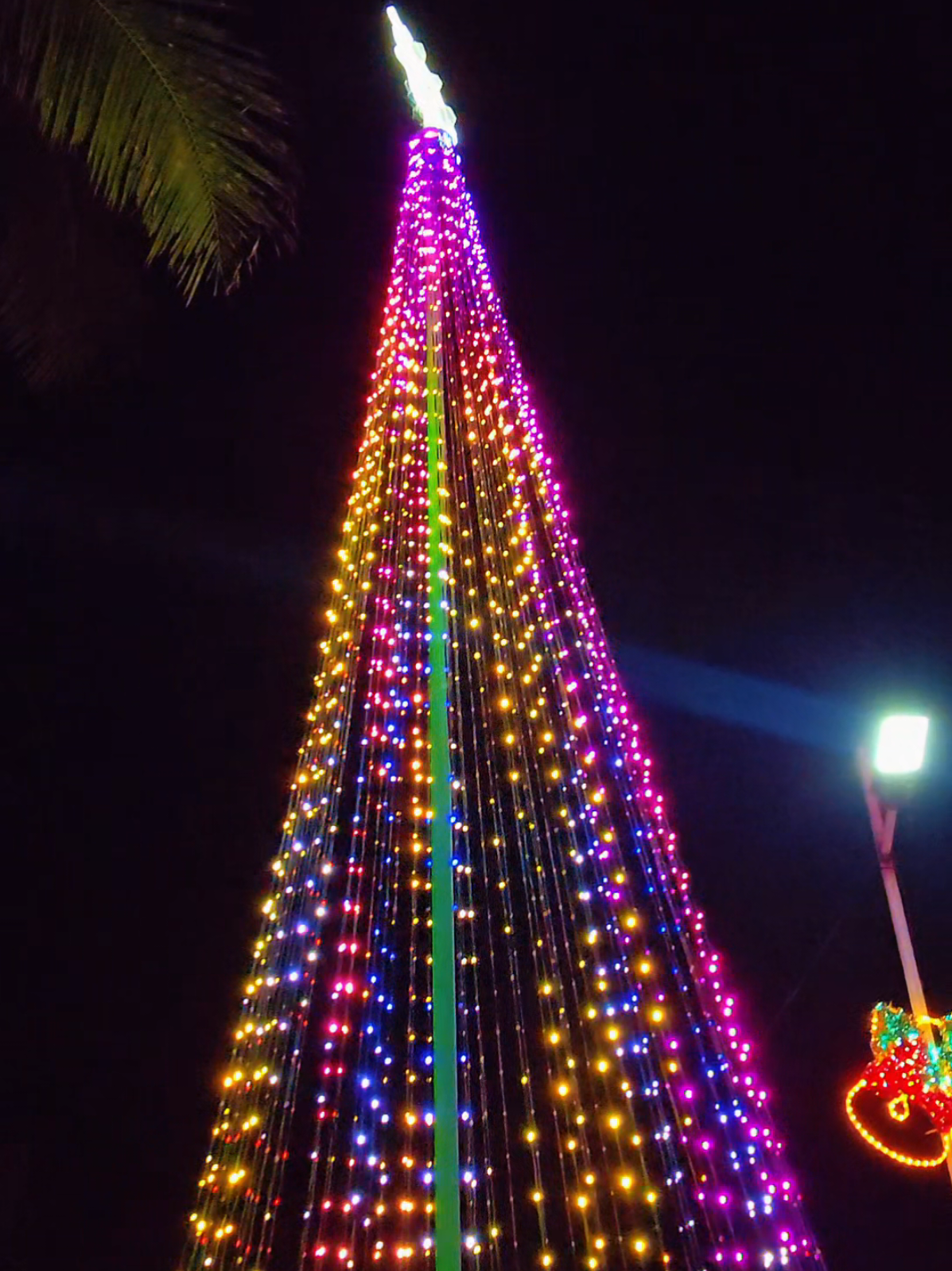 Solar Christmas light. #Christmas #light  #solar  #pasko  #christmaslight 