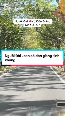 Người Đài có đón giáng sinh không? #nguoivietnamtaidailoan🇻🇳🇹🇼 #xuhuong #viralvideo #daudai 