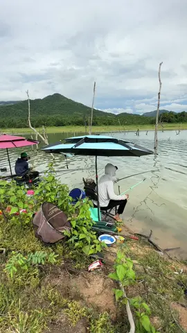 Chiêu gì cũng tung ra hết rồi bài vở 89 trang đều đem ra áp dụng hết cớ sao mà vẫn mõm vậy trời