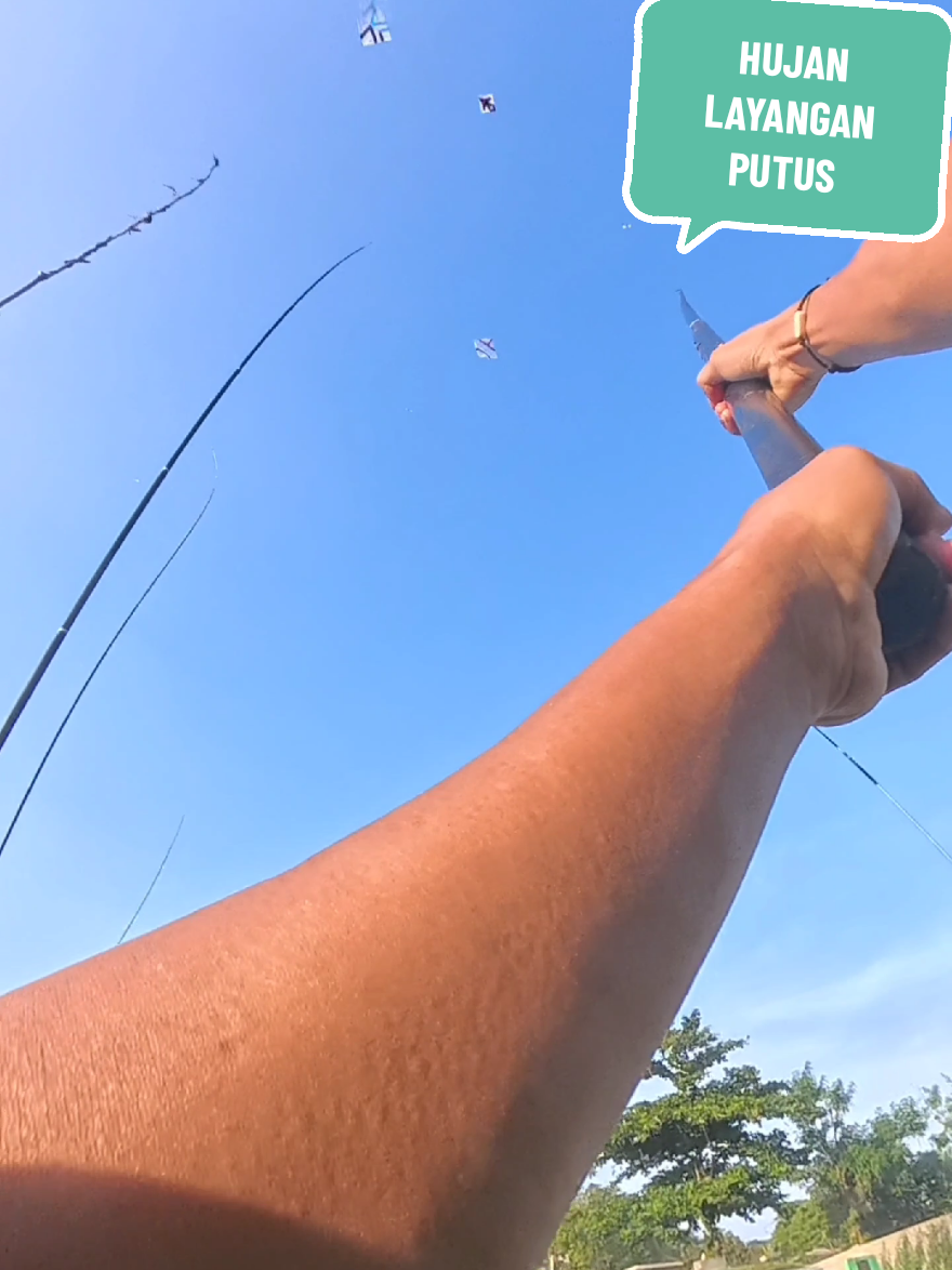 berburu layangan putus mantap #layangan #kite #kitefighter 