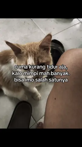 #storymlbb #quotesmlbb #mabar #immortal #mlbbcreatorcamp 