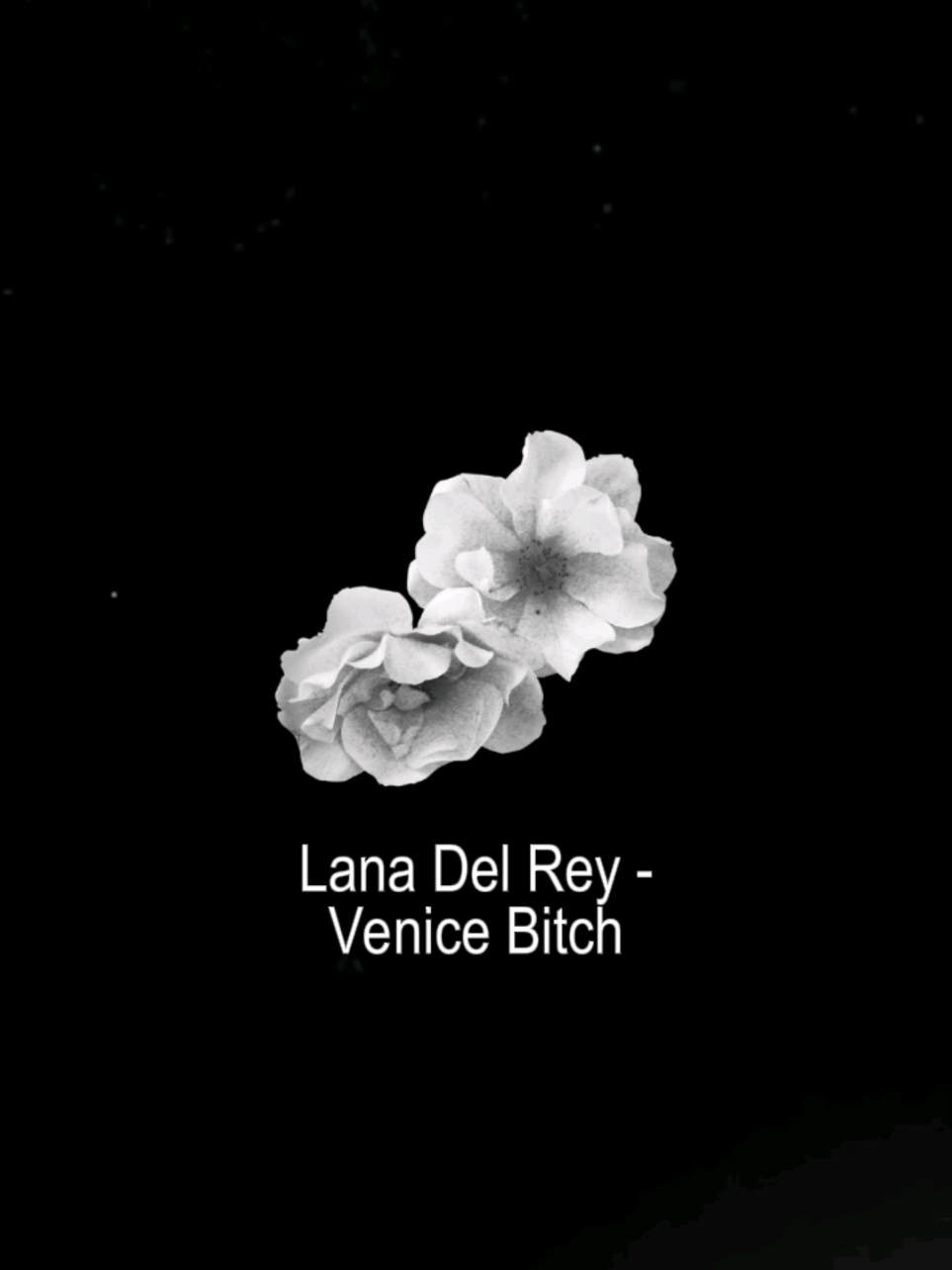 09:12 | ★ | se você não fosse meu, eu teria inveja do seu amor #lanadelrey #musica #tipografia #lyrics #viralvideos 