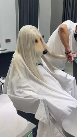 #fursuit #fursuitmaker #dog #fursuiter #afghanhound #DIY 