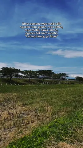 larang larang yo #jowopride #jowostory 