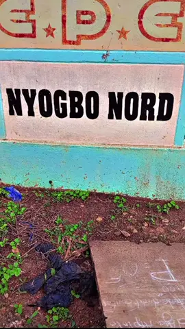 #Vues #AGOU🇹🇬NYOGBO🇹🇬NORD #kpalimétogo🇹🇬🇹🇬🇹🇬 #americaintiktok🇺🇸 #togolais228🇹🇬 