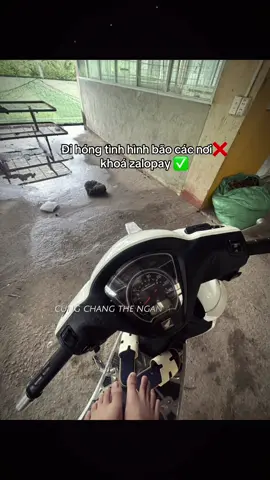 Vcl mở zalopay cho t hép mi#xuhuongtiktok #hottrend #xuhuong #viral 