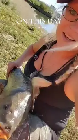 Wake me up when September ends #bunnykittycat #carp #memories #greenday #fishtok 