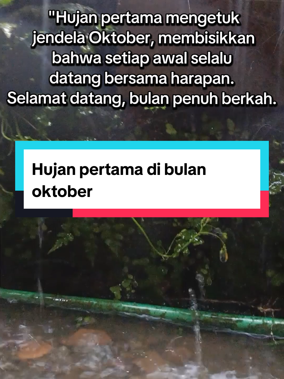 Hujan pertama di bulan oktober #hujan #oktober #hujangerimis 