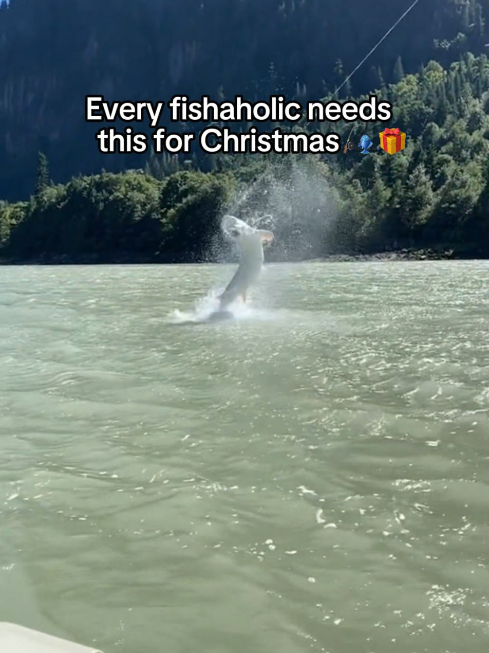 Gonna catch so many fish 🙏🎣 #pondfishing #fisherman #fishinglure #adventcalendar #bassfishing 