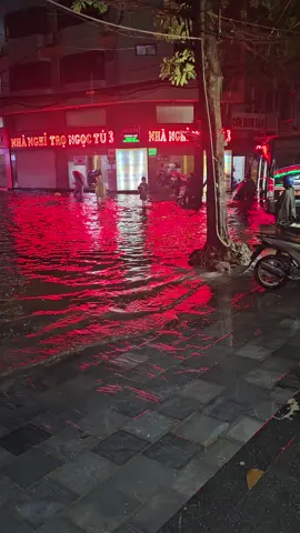 vịnh mỹ đình 