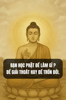 Bạn học Phật để giải thoát hay để trốn đời ?                                                                                                                                                                 NAM MÔ BỔN SƯ THÍCH CA MÂU NI PHẬT 🙏🏻.                                                                                           #nguoitruyenphap #loiphatday #phatphap #songtinhthuc 