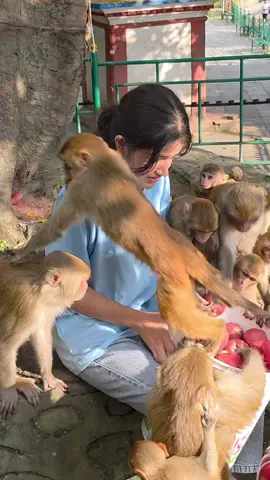 Heartwarming Moment ❤️