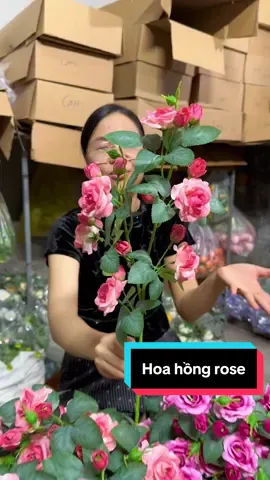 Này là chỗ ngọn, chỗ đẹp nhất của cành hoa hồng 🥰🥰🥰 #hoaluathanhxuan #hoahonggia #hoahongrose #hongrose #hoagia