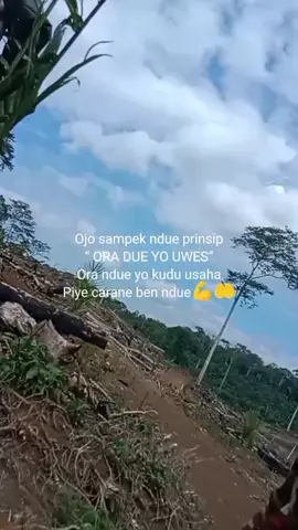 niat insun nandur sawit tukul duet.. 😅🤲