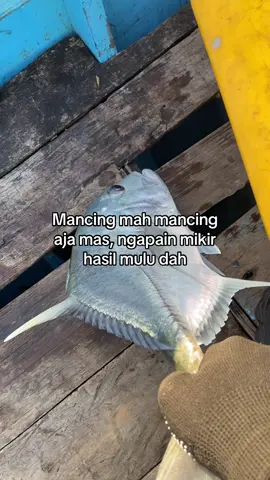 Bawa santay aja wal😹🫣#jjanglerbd #mancing 