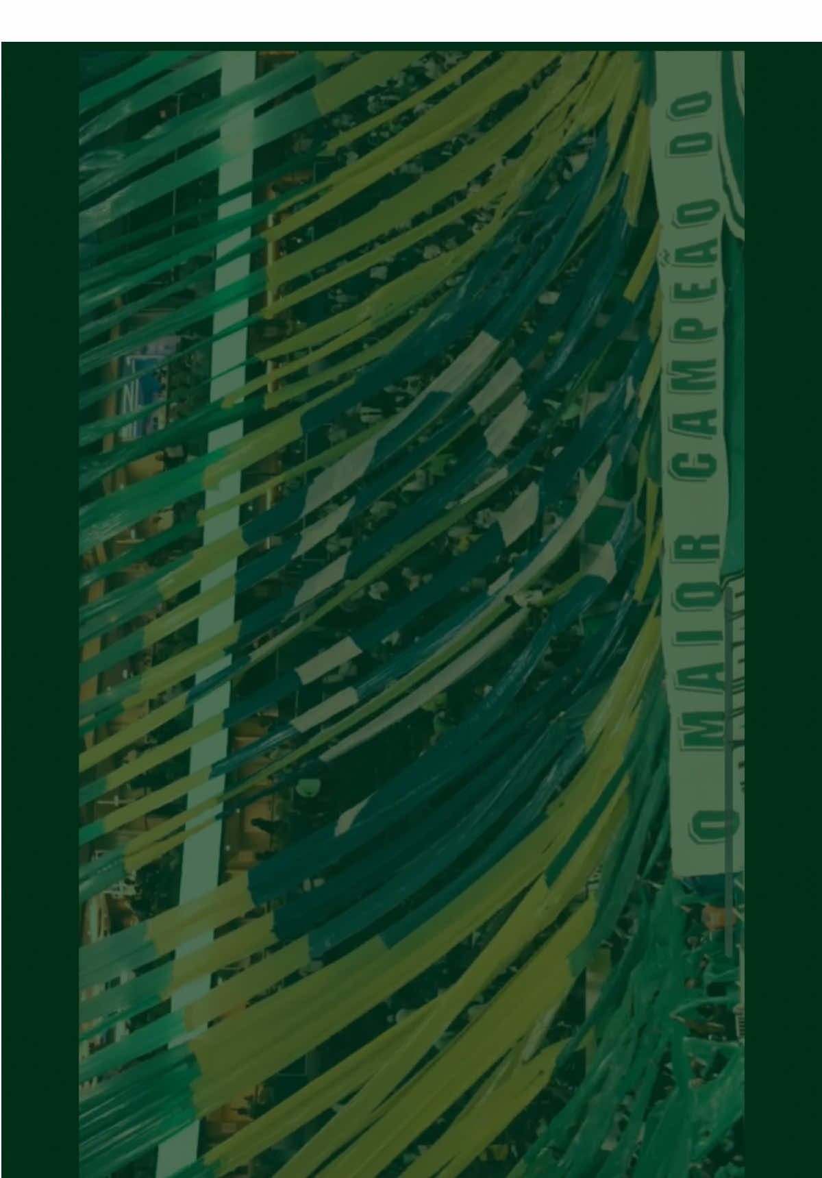 É MUITO MAIS DO QUE AMOR 💚 #palmeiras #verdao #torcidadopalmeiras #sep #allianzparque 