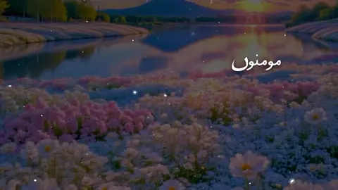 #qurantranslationurdu #quranverses #explore #foryoupage❤️❤️ 