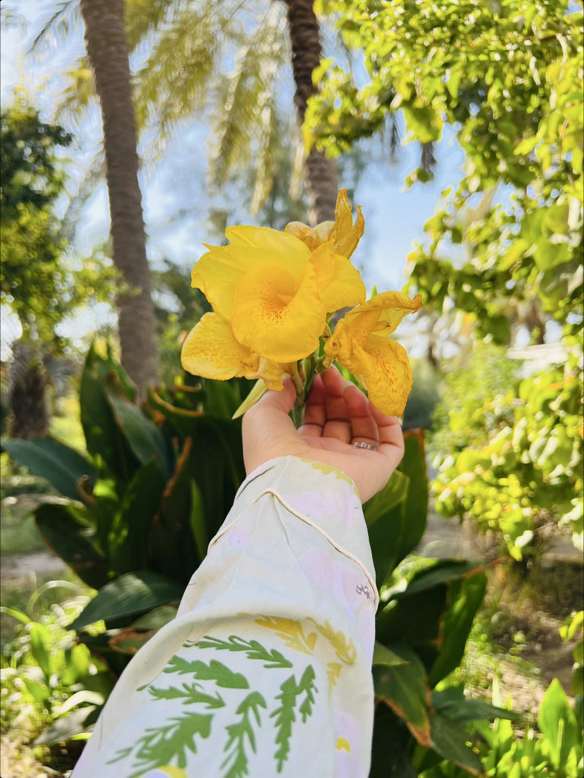 سويها كل أسبوع خلي 7هيلات علئ عين الطباخ واقري عليهن المعوذات وايه الكرسي أثناء الهيل وهويحترك وبعدها ورا ما يحترك الهيل طحني وخلي شويه ماء ورشيها بعتبه الباب#explor #اللهم_صل_على_محمد_وآل_محمد 