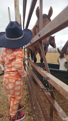 Hes obsessed 😍  #ranchstrong #cowboy #mamasletyourbabiesbecowboys #fyp #horsesoftiktok @S A V A N N A H 🤪 @🃏♠️frosty7.3♠️🃏 