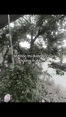 #nhttxuhuong #hatrang_2710 #phetuithangd #tamtrang 