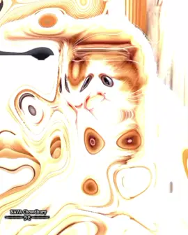 হ ভাই কিন্তু সত্যি কথা 🙂😑 . . . . . . . . . . . . . . . . . .. . . . . . . . . . . . . . . . . . . . . . . . . . . . . . . . .   . . . . . . . . . . . . . . . . . . . #tiktok #foryou #viral #viral #viral @TikTok @Bangladesh 