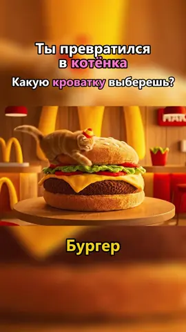 Какую выберешь? #асмр #ии #вео3 #котенок #кровать 