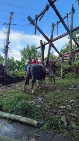 Dashai vaib #nepalitiktok #foryoupage 