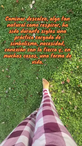 #marketing #ganaconamazon🤩🤩 #virallll #confiaenelproceso #diosprimero🙏🏻❤️💫 
