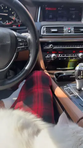 كملت ٤ سنين معي ❤️❤️. #fyp #اكسبلوررررر #لايك__explore___ #foryou #fyppppppppppppppppppppppp 