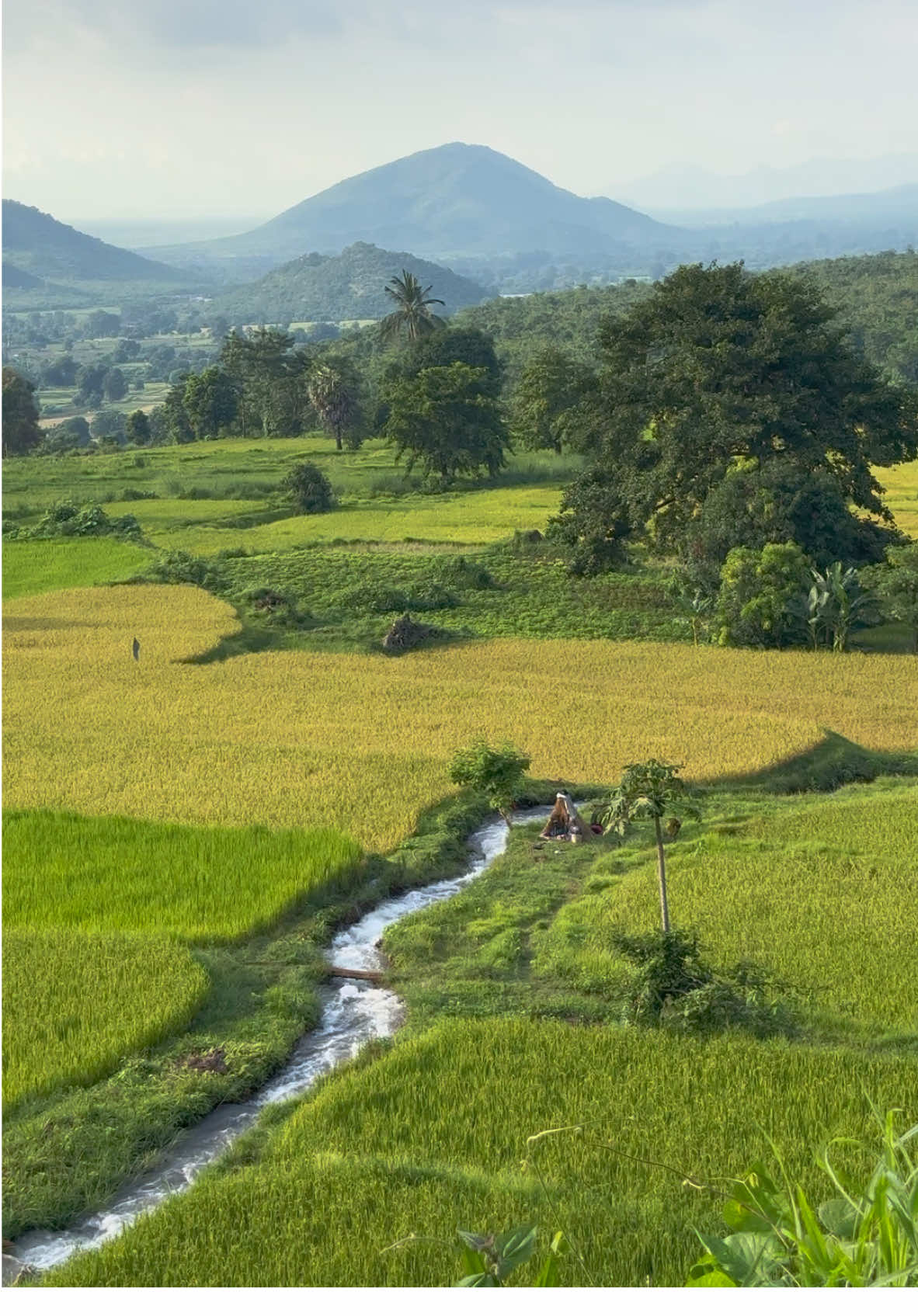နတ်ပြည်တောင် ဒီလောက်လှပါ့မလား။ #theburmesenaturallife 