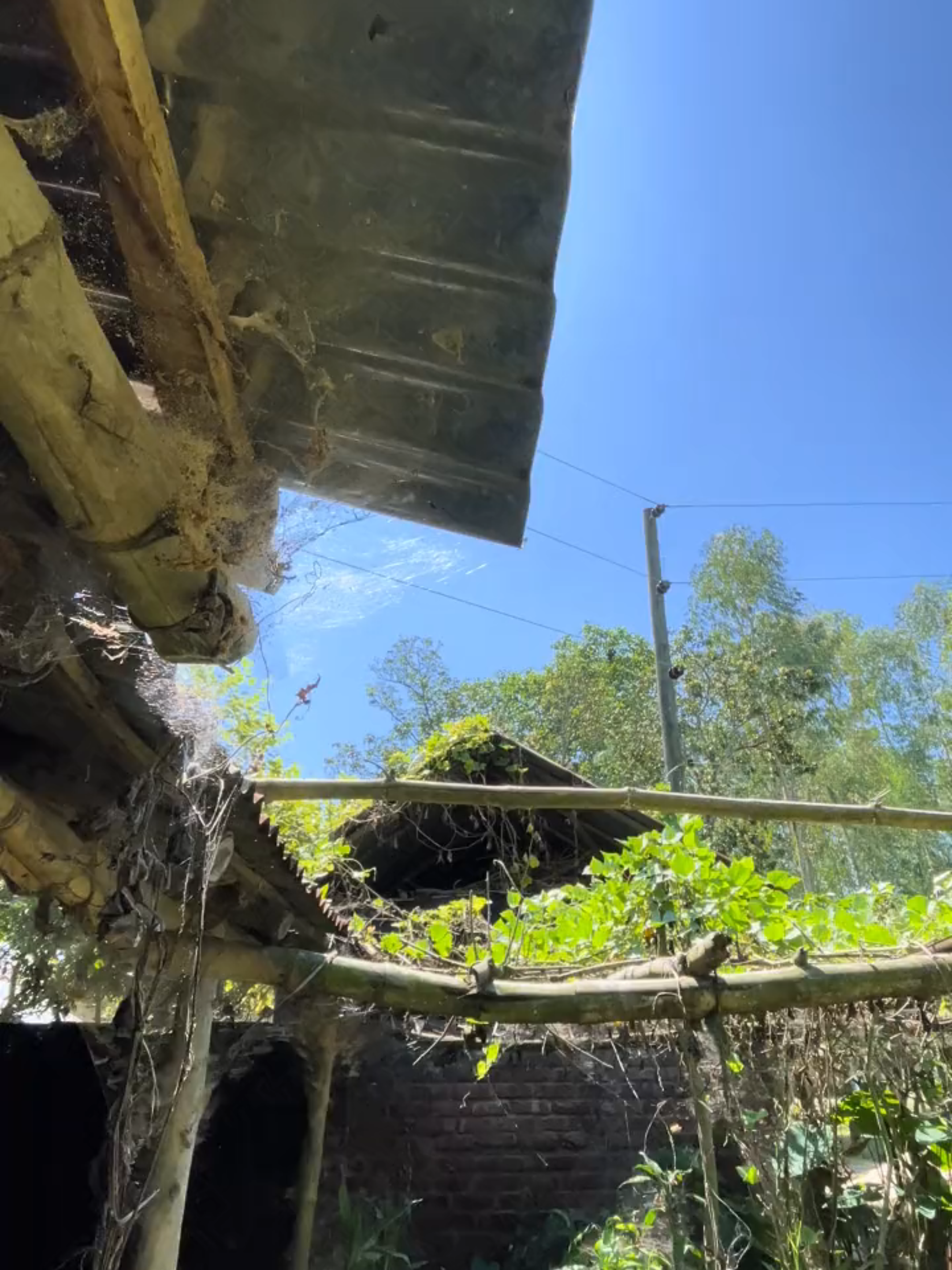 আইফোনের সাথে পোলাপান লাগতে আসে 🤣🥵🏞️#iphone #60fps🤡 #4k