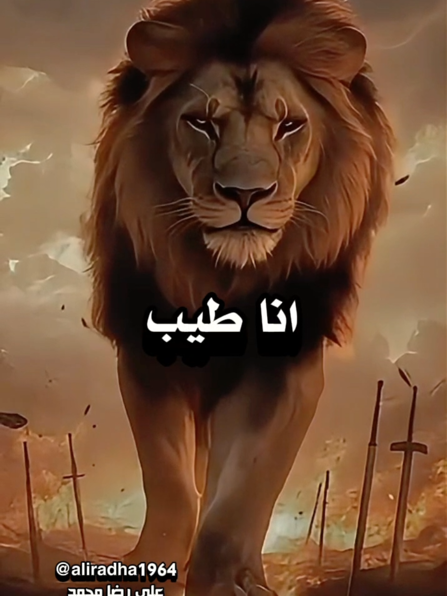 #حكم_وأمثال_وأقوال  #دارالحق  #اكسبلورexplore 