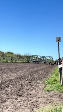 #burreros🔥 #pasionburrera😍🐎🏁 #pasionporelturf🐴 #fypシ゚viral🖤tiktok #humor 