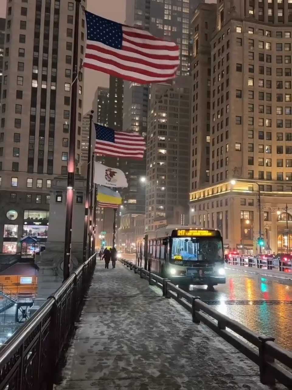 Snow in Chicago ❄️🇺🇸 Discover Chicago and enjoy snow ❄️ 🇺🇸 . . . . . . . viral trump 🇺🇸 #chicago #travelusa #fyp #viralvidoes #usa 