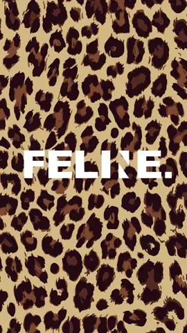 FELINE 🐆 is a clan of independent-minded species and yet, together they form a faithful family.  They are free-spirited, bold and fearless individuals who will go extra miles for the good of their beloved pride.  #FelineAgency  #Model #Talent #Influencer #BangkokBased 