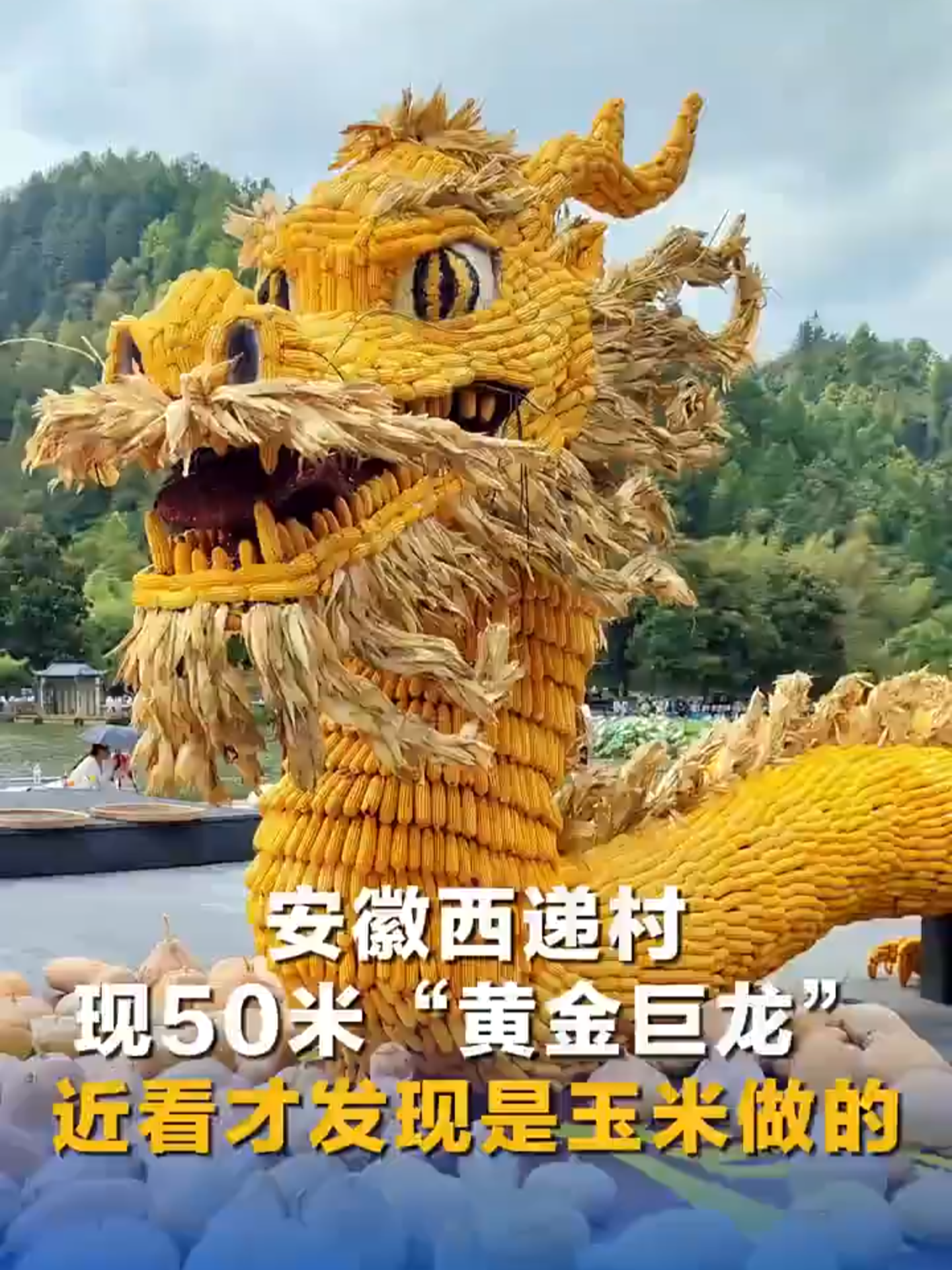 Un dragon doré en maïs pour la fête des récoltes. #Chine