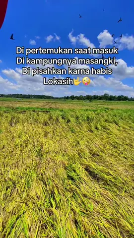 #CapCut bukan kah begitu nonah 😁🤪🤟 #kubotadc70pro #wijapaggalung🌾 #masukberandafyp #pamejangbaru 