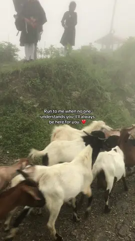 Just remember me..❤️#fyp #zxycba #777 #krishna #feelings 