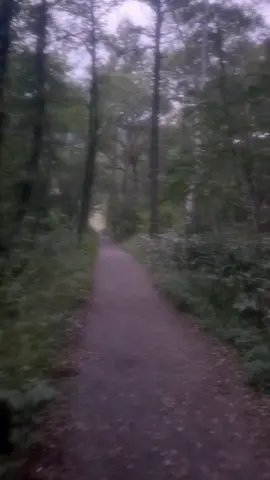 私はもう一人で歩いていけるから大丈夫だよ #fyp #雰囲気 #素材 #素材配布 #儚い 