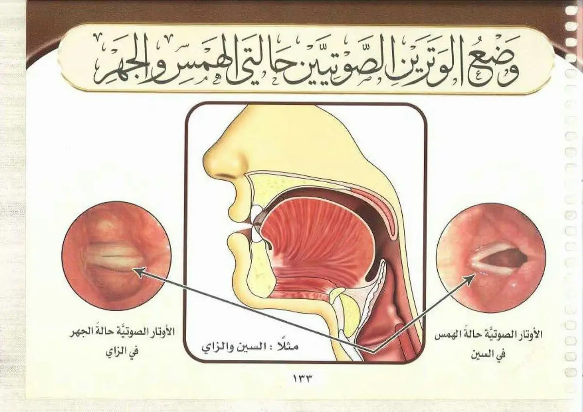 #تجويد #تعليم الهدف من تعلم التجويد: 	•	أن يُقرأ القرآن كما أُنزل على النبي ﷺ، بلا زيادة ولا نقصان ولا تحريف.