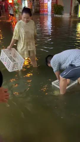 Bắt cá trên đường yên xá 